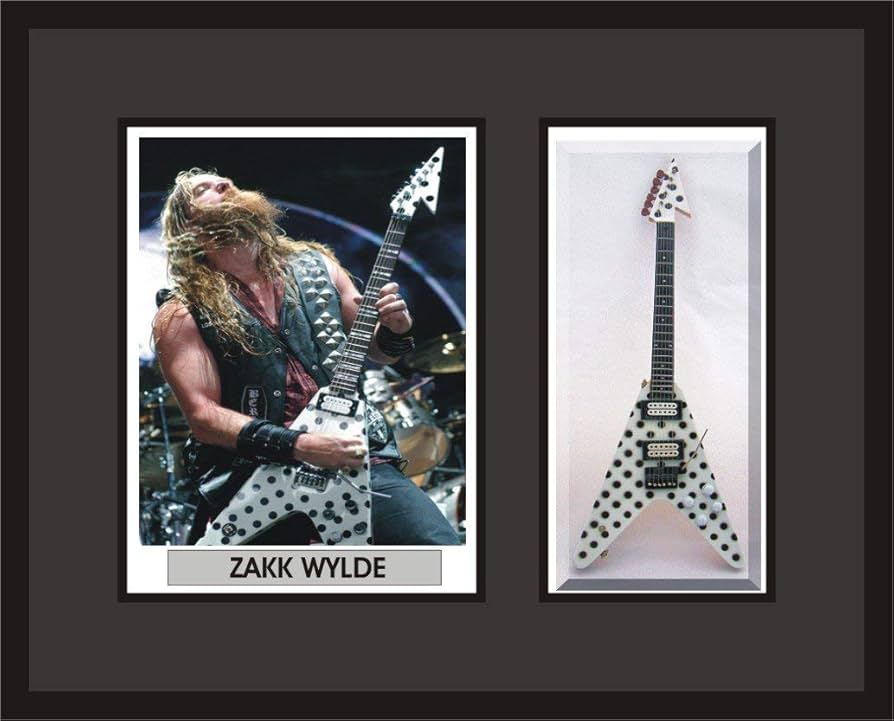 Amazon.co.jp: ZAKK WYLDE Guitar Shadowbox Frame Polka Dots